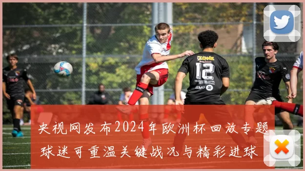 央视网发布2024年欧洲杯回放专题 球迷可重温关键战况与精彩进球