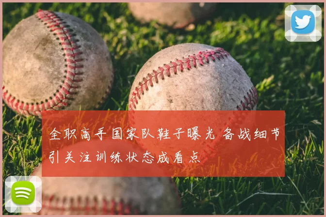 全职高手国家队鞋子曝光 备战细节引关注训练状态成看点