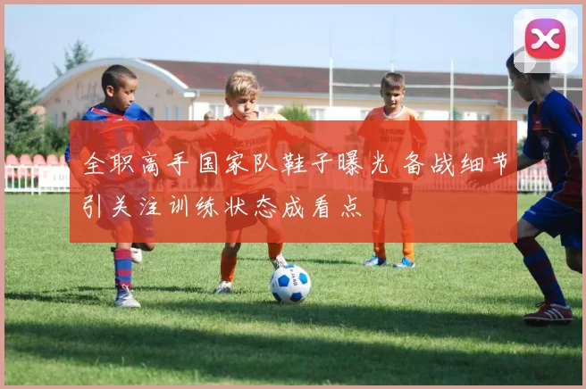 全职高手国家队鞋子曝光 备战细节引关注训练状态成看点