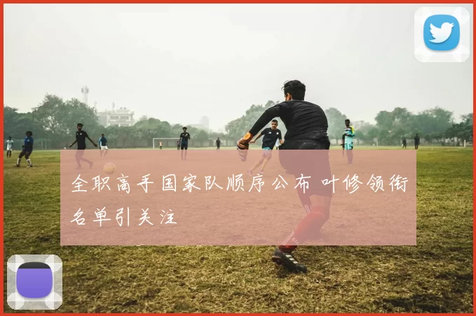 全职高手国家队顺序公布 叶修领衔名单引关注