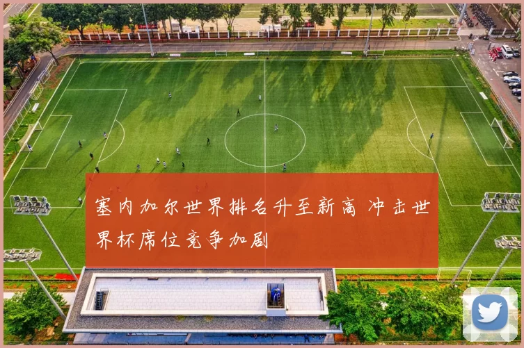 塞内加尔世界排名升至新高 冲击世界杯席位竞争加剧