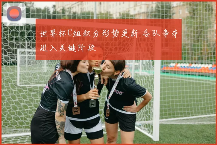 世界杯C组积分形势更新 各队争夺进入关键阶段