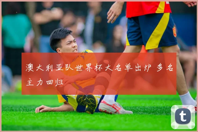 澳大利亚队世界杯大名单出炉 多名主力回归